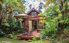Ferny Hollow: Romantic Rainforest Cottage