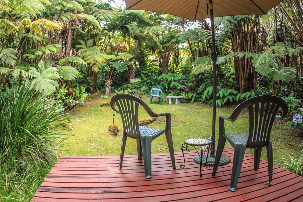 Ferny Hollow: Romantic Rainforest Cottage Volcano Exterior photo