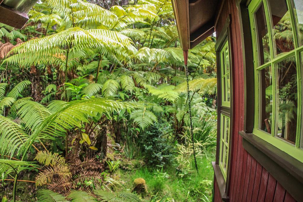 Ferny Hollow: Romantic Rainforest Cottage Volcano Exterior photo